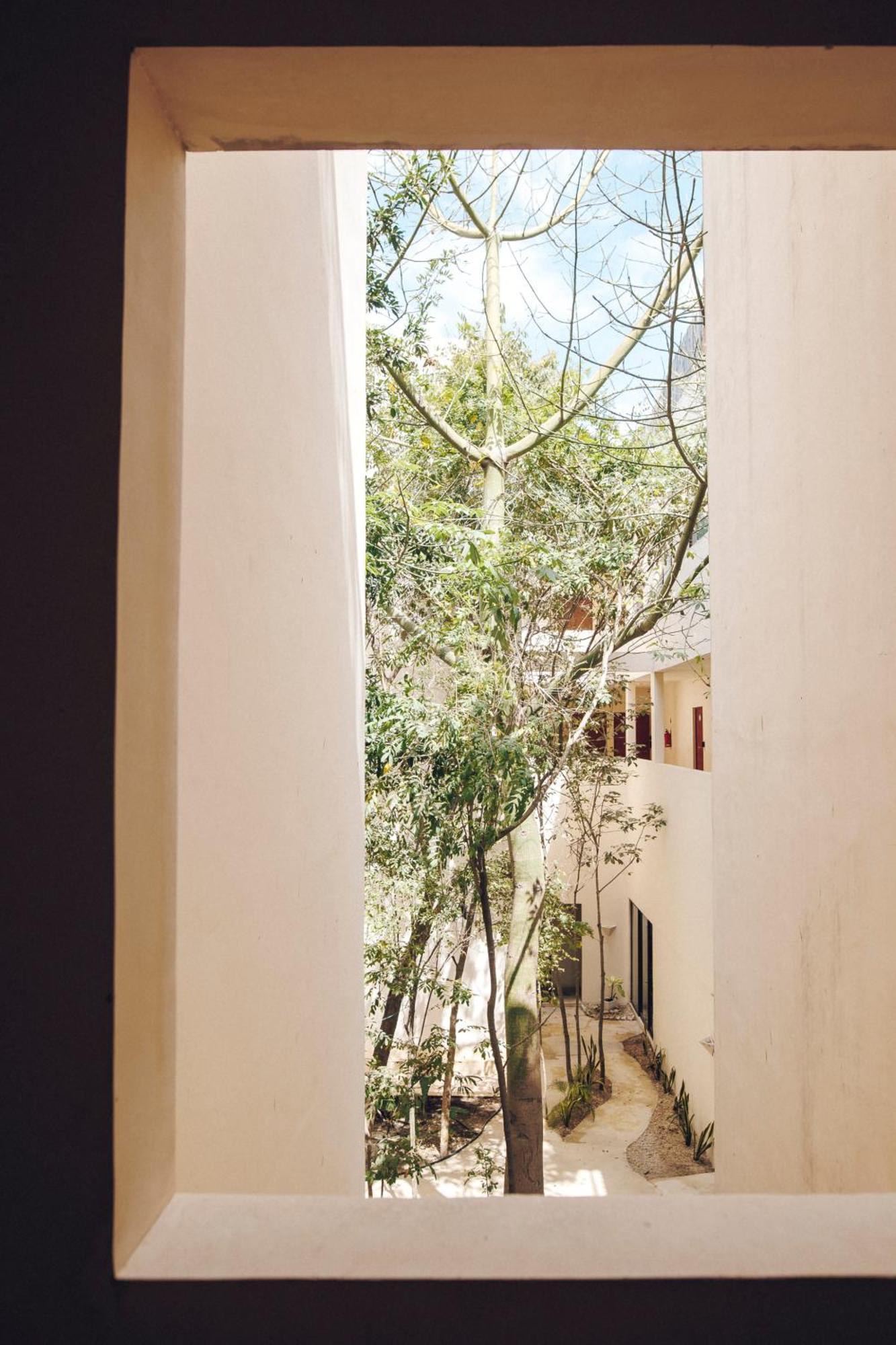 2 Bikes Free Exlusive Building Close To The Sea Tulum Exteriér fotografie