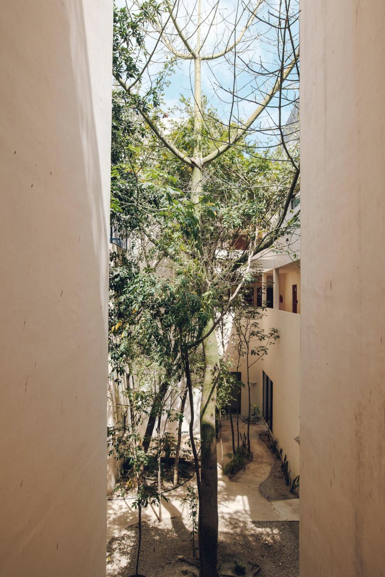 2 Bikes Free Exlusive Building Close To The Sea Tulum Exteriér fotografie