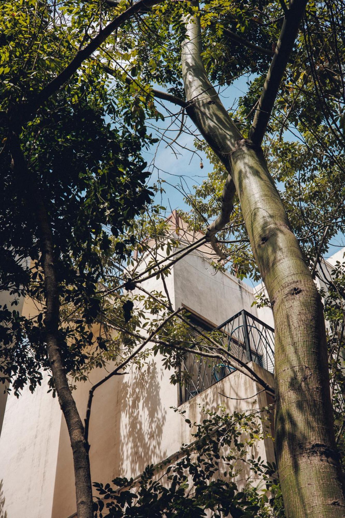 2 Bikes Free Exlusive Building Close To The Sea Tulum Exteriér fotografie