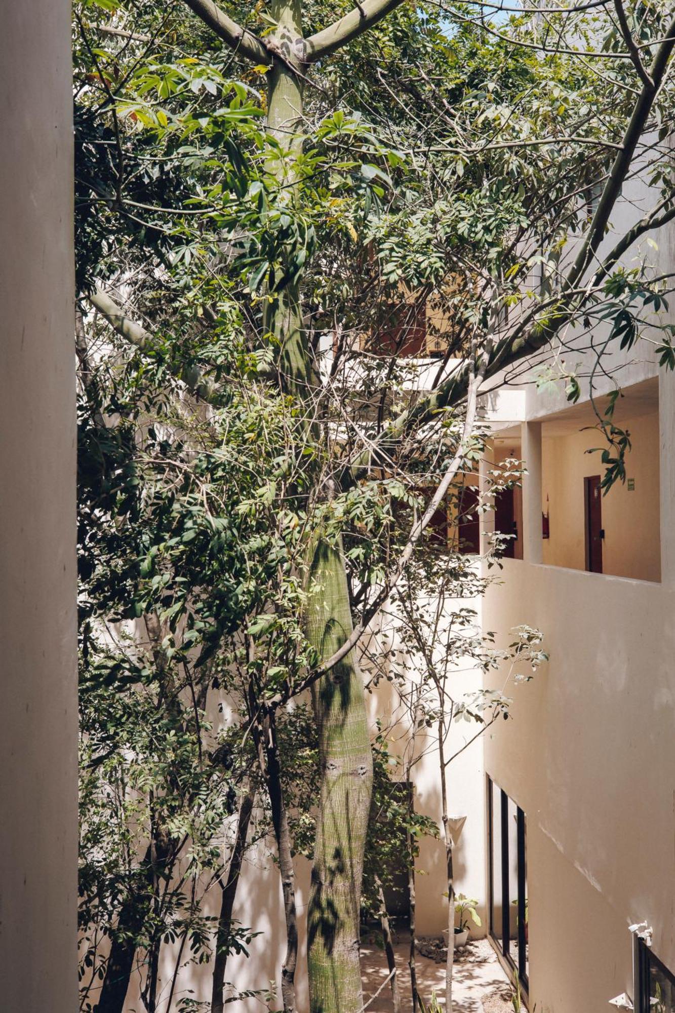 2 Bikes Free Exlusive Building Close To The Sea Tulum Exteriér fotografie
